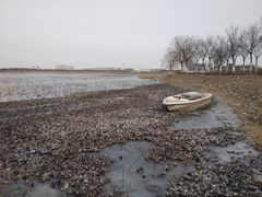 -天津东丽湖风景区