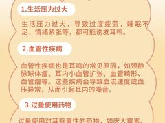 -自然之声助听器·呼吸机(贵定店)