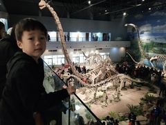 -自贡恐龙博物馆