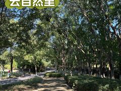 -白塘生态植物园