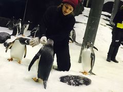 -悉尼海洋生物水族馆