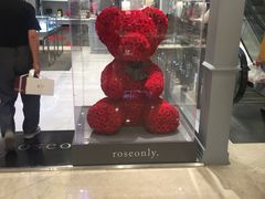 -ROSEONLY诺誓(国际广场购物中心店)