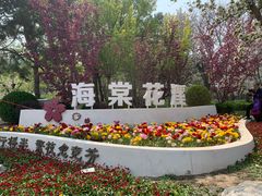 -海棠花溪(元大都城垣遗址公园)