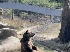 -杭州野生动物世界