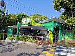 -圣淘沙天际线斜坡滑车