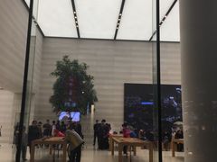 -Apple零售店(济南恒隆广场店)