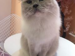-极木²邸 人与宠物·互动社区