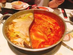 -密友回转自助火锅(世茂国际广场店)