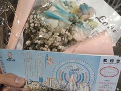 -南昌之星摩天轮