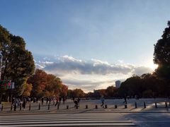 -东京国立博物馆