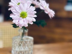 -榖屋house of flour(张江首店)