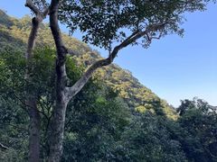 -太平山顶