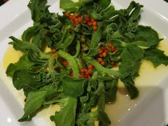 沙棘冰草-九十九顶毡房(阜石路店)