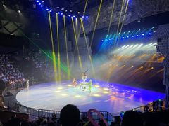 -重庆国际马戏城