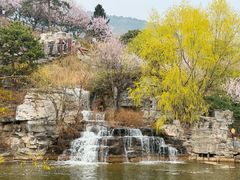 -北京西山国家森林公园