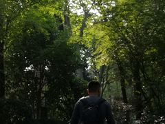 -云龙山