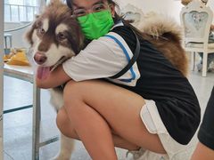 -Let's go狗咖·猫咖·奶狗·桌游(春熙路IFS店)