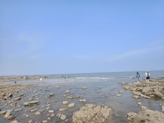 -日照海滨国家森林公园