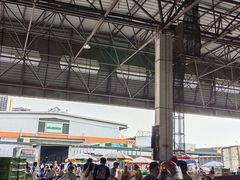 -海吉星市场
