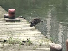 -苏州河梦清园环保主题公园