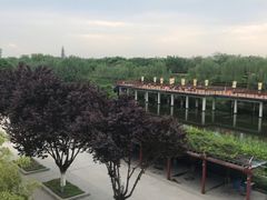 -西安汉城湖景区