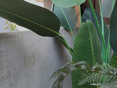 -猫的天空之城概念书店(苏州平江店)