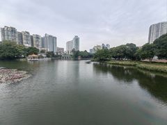 -荔湾湖公园