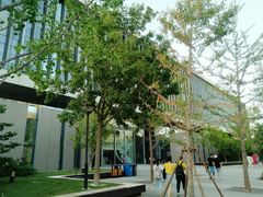 -中央财经大学沙河校区-图书馆