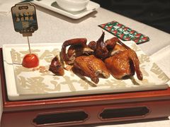 -大鸽饭(体育西路店)