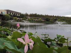 -上海怡沁园度假酒店