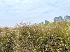 -光明小镇欢乐田园