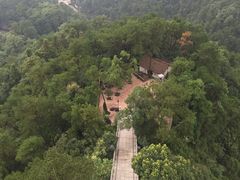 -大金鹰园
