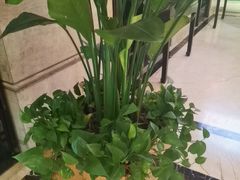 -洛阳宴·洛阳菜(南昌路店)
