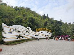 -西双版纳原始森林公园