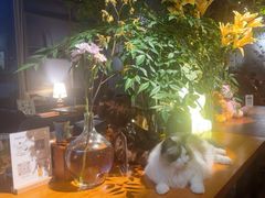 -咖法森林·咖啡  酒吧(天河店)