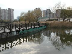 -新江湾城公园