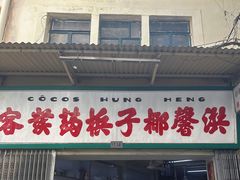 -洪馨椰子