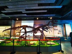 -哈密回王府景区