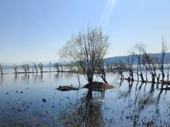 -洱海月湿地公园