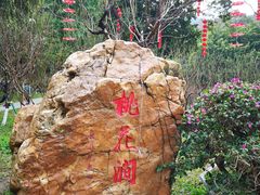 -广州市白云山风景名胜区