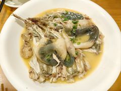 -9号小厨师(端平桥店)