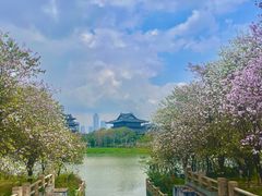 -海珠湖公园