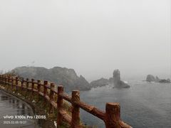 -涉地可支