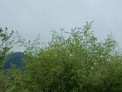 -黄松峪水库