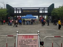 -杭州湾海上花田景区