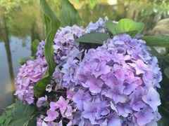 -人民公园(罗湖区)