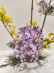 -今日陶艺(富力广场店)