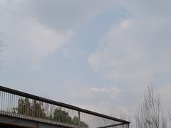 -白鹭湾湿地公园