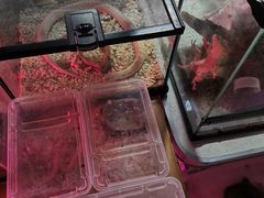 -华声天桥民俗文化园