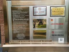 -昆明市博物馆(昆明市文物保护和考古研究中心)